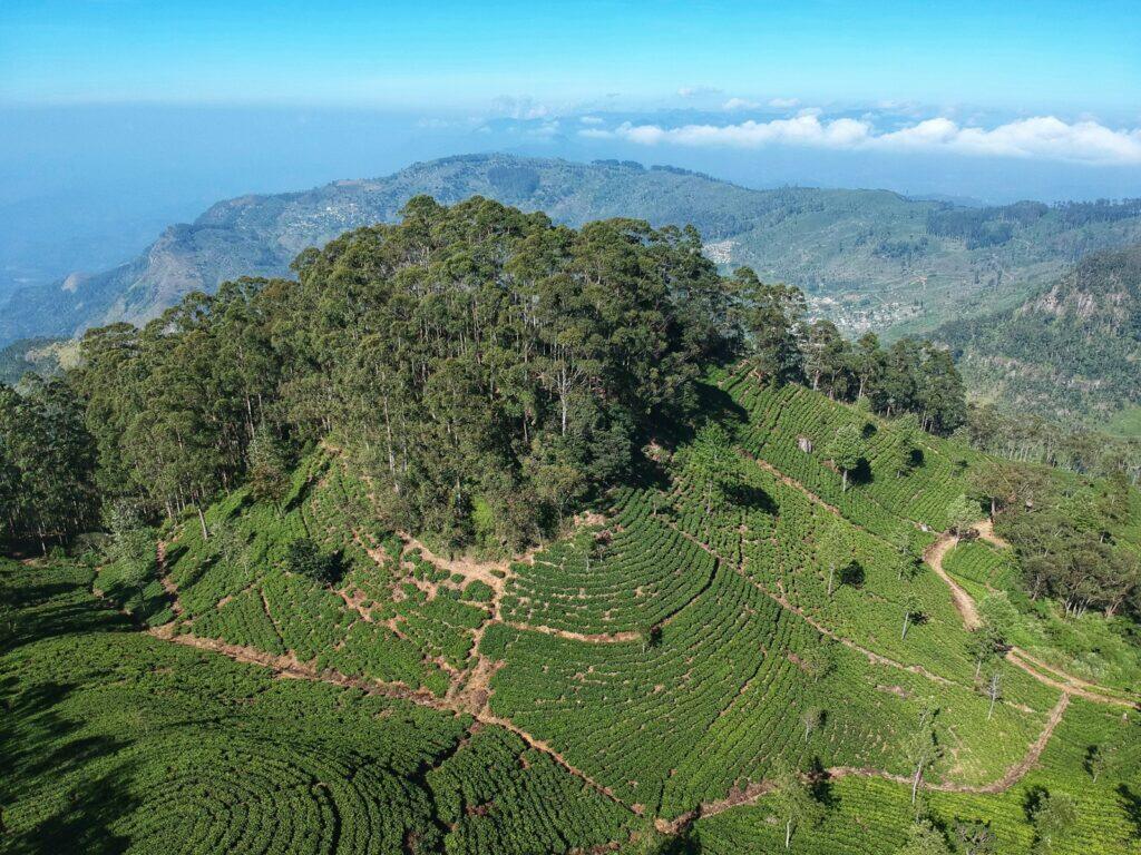 Scenic view of Sri Lanka's cultural landscape with ancient ruins and lush greenery — supporting travel image 2